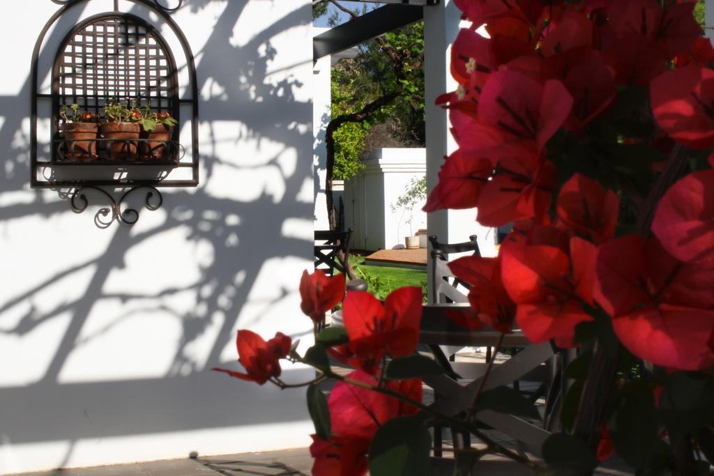 Lemon & Lime Guesthouse Bloemfontein Exterior photo